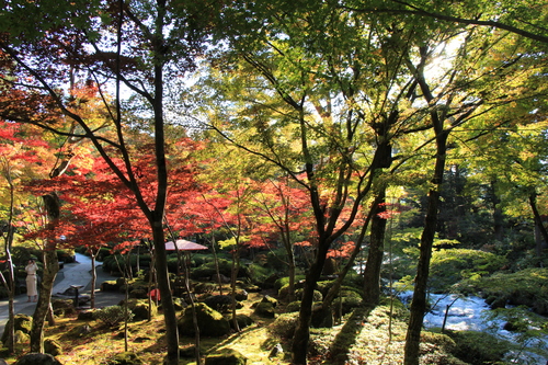 富士山温泉ホテル鐘山苑