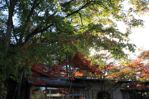 富士山温泉ホテル鐘山苑