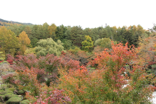 富士山温泉ホテル鐘山苑