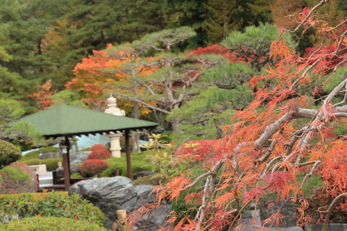 富士山温泉ホテル鐘山苑