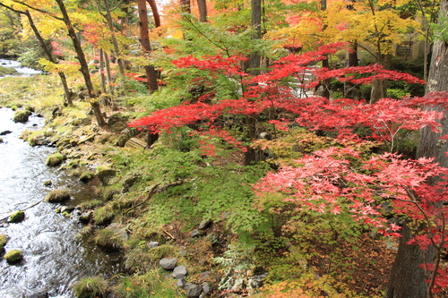 富士山温泉ホテル鐘山苑