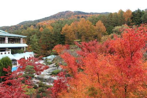 富士山温泉ホテル鐘山苑