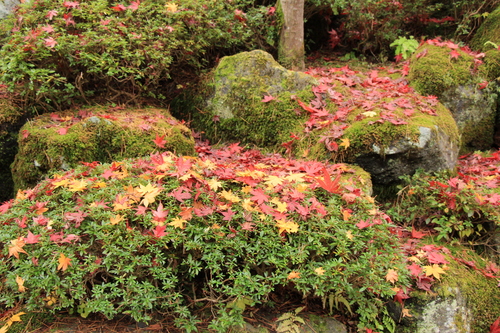 富士山温泉ホテル鐘山苑