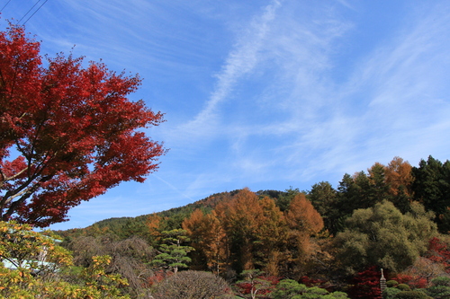 富士山温泉ホテル鐘山苑