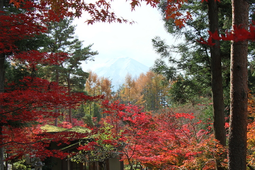 富士山温泉ホテル鐘山苑