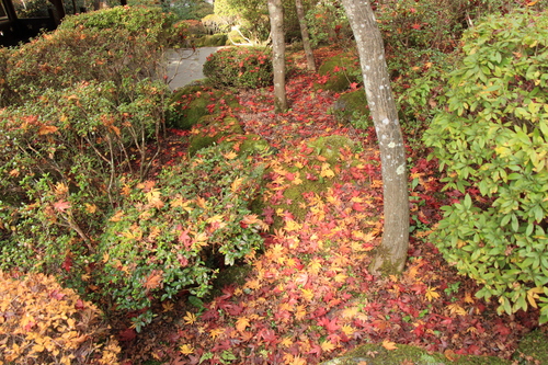 富士山温泉ホテル鐘山苑