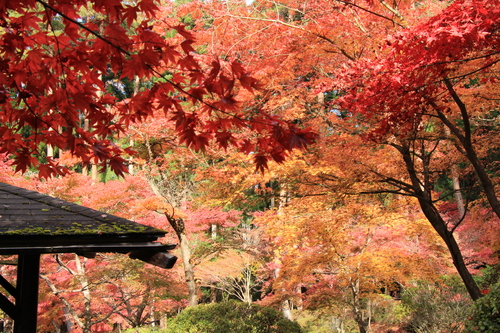 富士山温泉ホテル鐘山苑