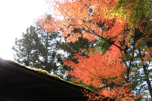 富士山温泉ホテル鐘山苑