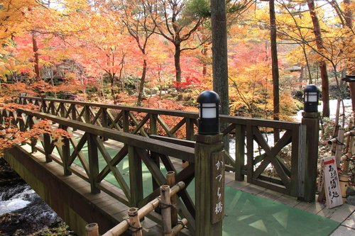 富士山温泉ホテル鐘山苑