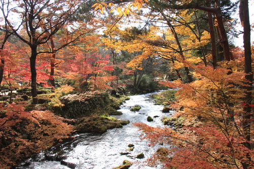 富士山温泉ホテル鐘山苑