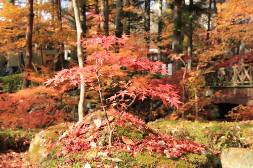 富士山温泉ホテル鐘山苑