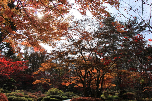 富士山温泉ホテル鐘山苑