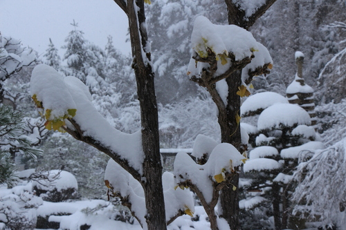 富士山温泉ホテル鐘山苑