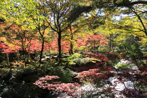 富士山温泉ホテル鐘山苑