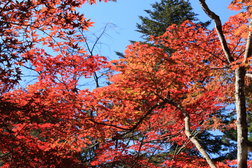 富士山温泉ホテル鐘山苑