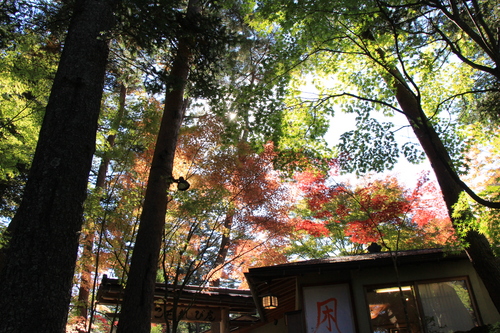 富士山温泉ホテル鐘山苑