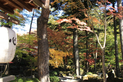 富士山温泉ホテル鐘山苑