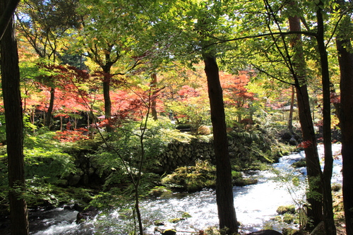 富士山温泉ホテル鐘山苑