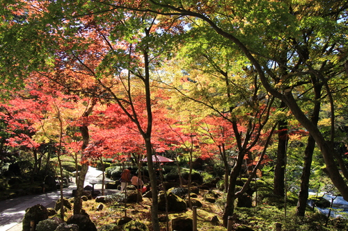 富士山温泉ホテル鐘山苑