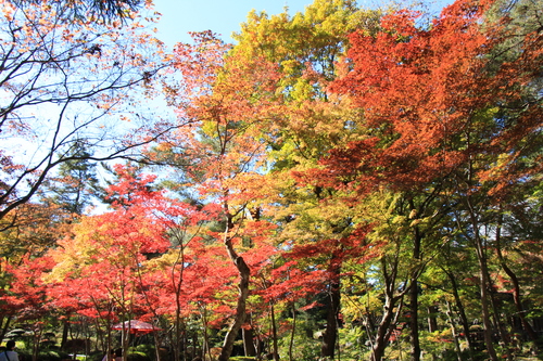 富士山温泉ホテル鐘山苑