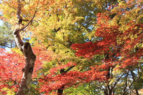 富士山温泉ホテル鐘山苑