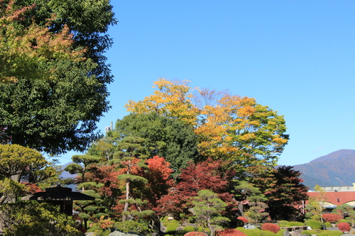 富士山温泉ホテル鐘山苑