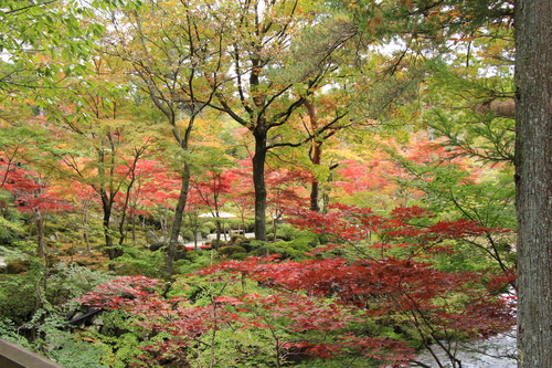 富士山温泉ホテル鐘山苑