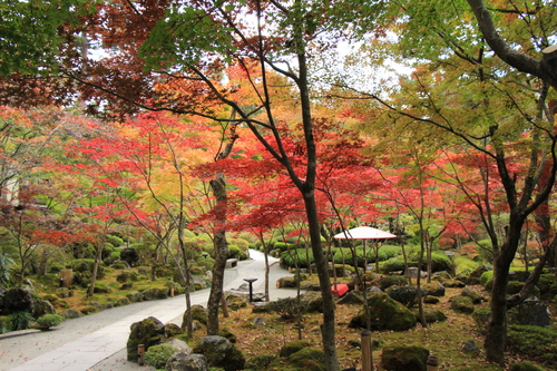 富士山温泉ホテル鐘山苑