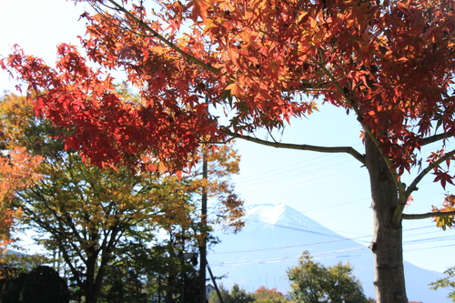 富士山温泉ホテル鐘山苑