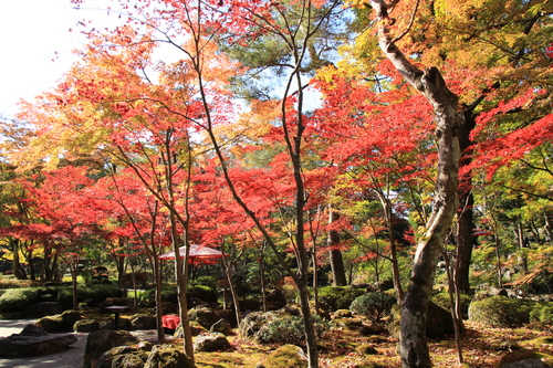 富士山温泉ホテル鐘山苑