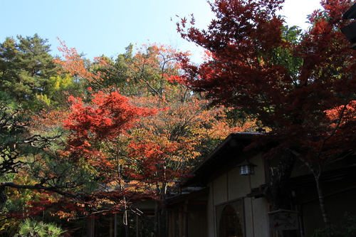 富士山温泉ホテル鐘山苑