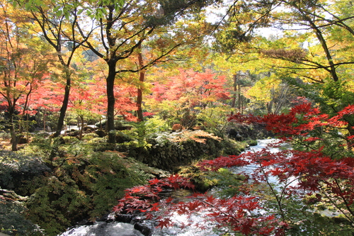 富士山温泉ホテル鐘山苑