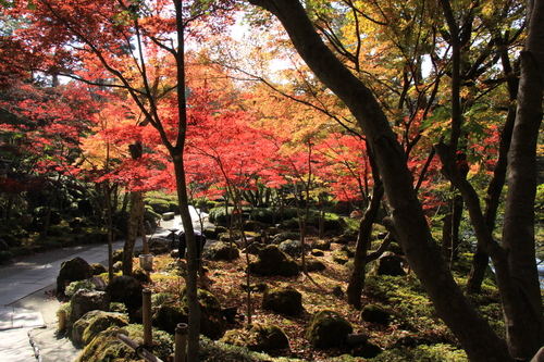 富士山温泉ホテル鐘山苑