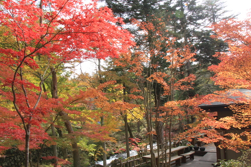 富士山温泉ホテル鐘山苑