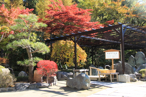 庭園の紅葉情報No.18｜富士山温泉ホテル鐘山苑