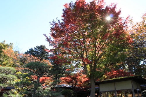 富士山温泉ホテル鐘山苑