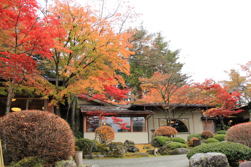 庭園の紅葉情報No.20｜富士山温泉ホテル鐘山苑