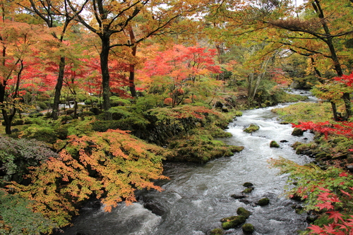 富士山温泉ホテル鐘山苑