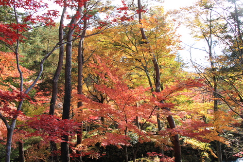 富士山温泉ホテル鐘山苑