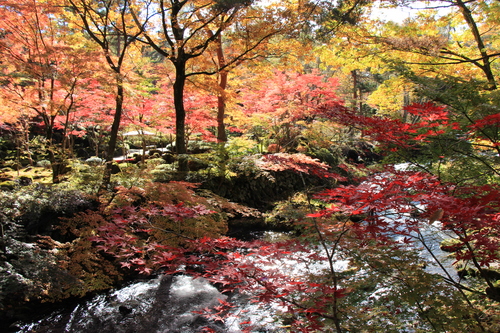 富士山温泉ホテル鐘山苑