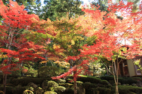 富士山温泉ホテル鐘山苑