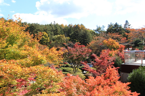 富士山温泉ホテル鐘山苑