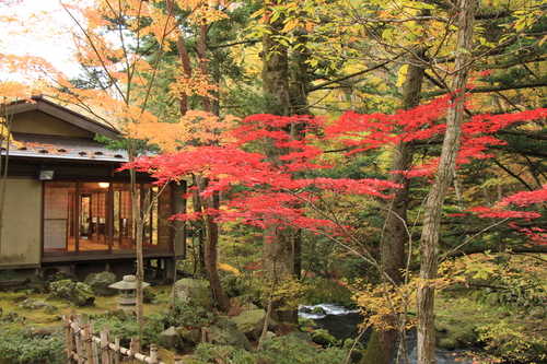 富士山温泉ホテル鐘山苑