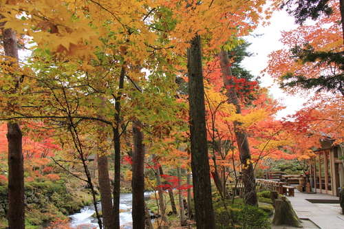 富士山温泉ホテル鐘山苑