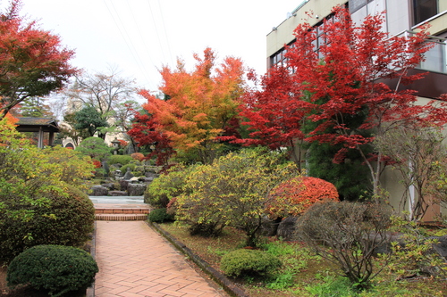 庭園の紅葉情報No.24｜富士山温泉ホテル鐘山苑