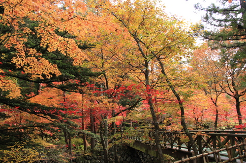 富士山温泉ホテル鐘山苑