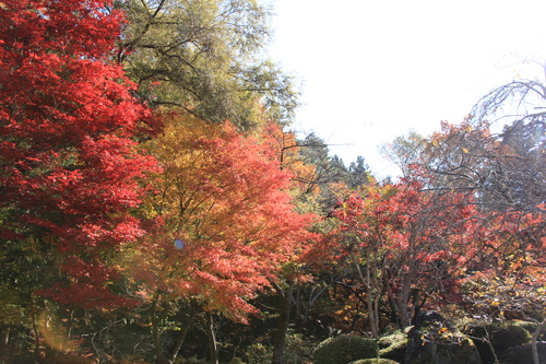 富士山温泉ホテル鐘山苑