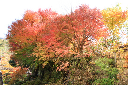 富士山温泉ホテル鐘山苑