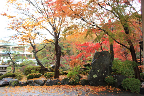 庭園の紅葉情報No.28｜富士山温泉ホテル鐘山苑