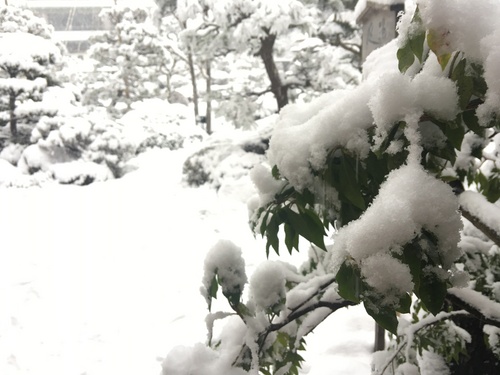 富士山温泉ホテル鐘山苑